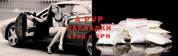 твердый Нефтегорск