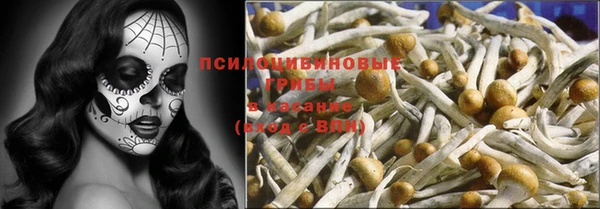 хмурый Надым