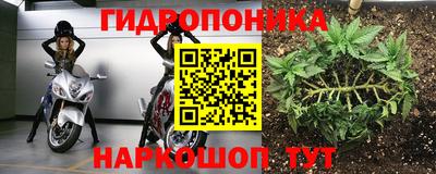 спиды Гагарин