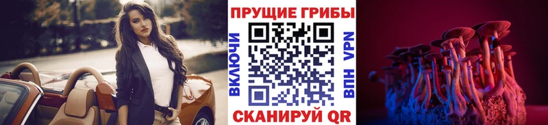 Псилоцибиновые грибы мицелий  купить закладку  Надым 